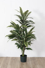 Load image into Gallery viewer, Artificial cordyline plant 57”
