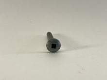 Load image into Gallery viewer, 15138 Dynasty skirt screws, gray
