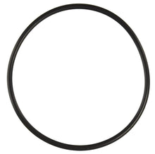 Load image into Gallery viewer, Replacement Ultra Pro Pump O-Ring for Cover
