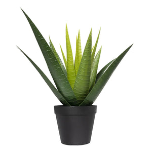 Potted Artificial Aloe Vera Plant 13''