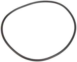 O-Ring for Pentair/Sta-Rite Seal Plate