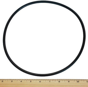 O-Ring for Pentair/Sta-Rite Seal Plate