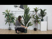 Load and play video in Gallery viewer, Artificial cordyline plant 57”
