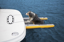 Load image into Gallery viewer, Solstice Inflatable Pup Plank
