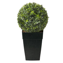Load image into Gallery viewer, Boxwood Ball Planter
