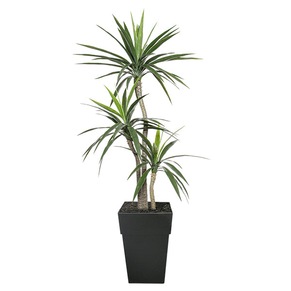 Outdoor Artificial Potted Yucca
