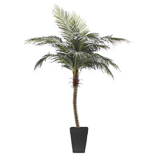 Load image into Gallery viewer, Phoenix Palm Tree Planter
