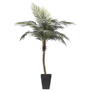 Phoenix Palm Tree Planter