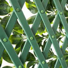 Load image into Gallery viewer, Expandable greenery fence
